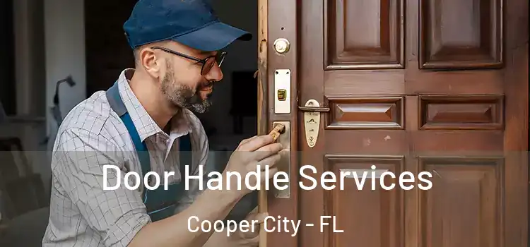 Door Handle Services Cooper City - FL