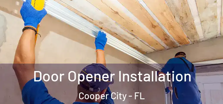 Door Opener Installation Cooper City - FL