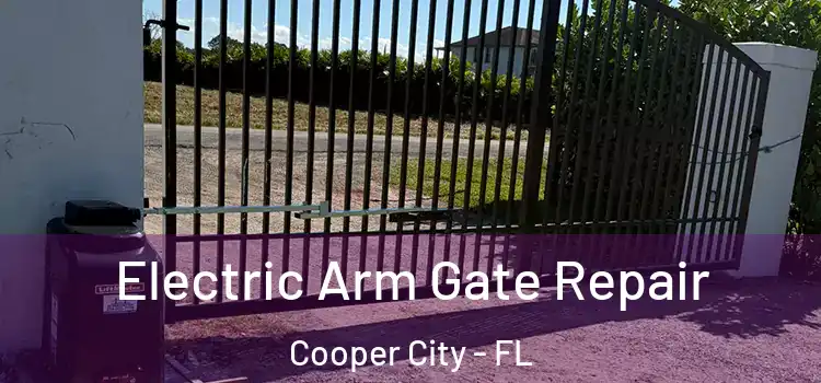  Electric Arm Gate Repair Cooper City - FL