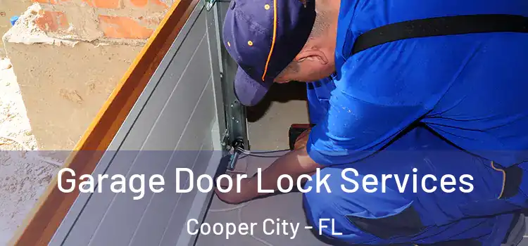 Garage Door Lock Services Cooper City - FL