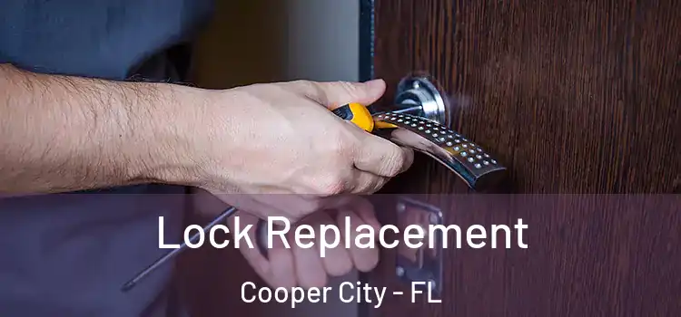 Lock Replacement Cooper City - FL