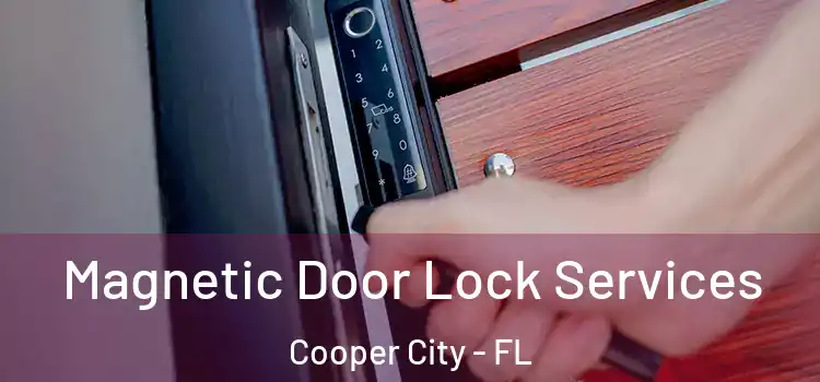Magnetic Door Lock Services Cooper City - FL