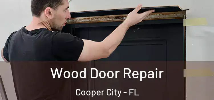 Wood Door Repair Cooper City - FL